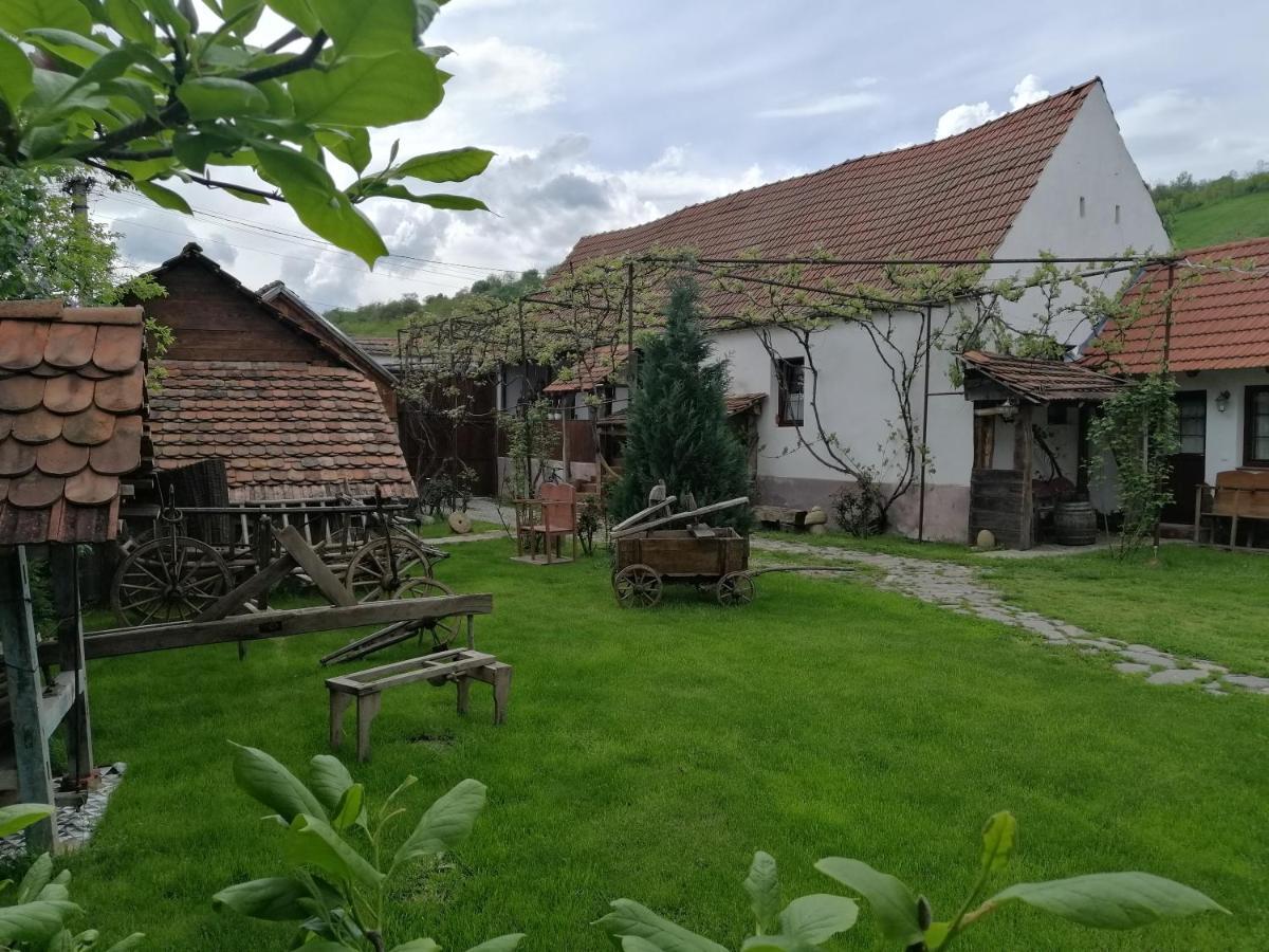 Casa Traditionala Transilvaneana Rucar  Exterior photo